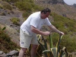 Resize of P1010085.JPG